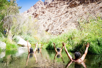 Elqui Experience Program