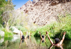 Elqui Experience Program
